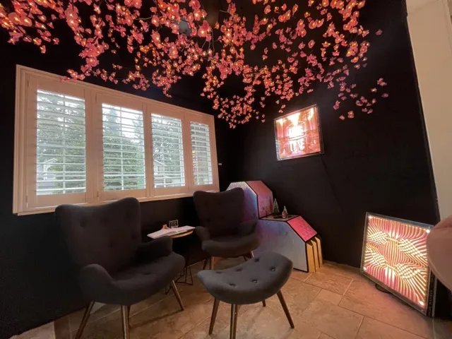 Cherry blossom installation
